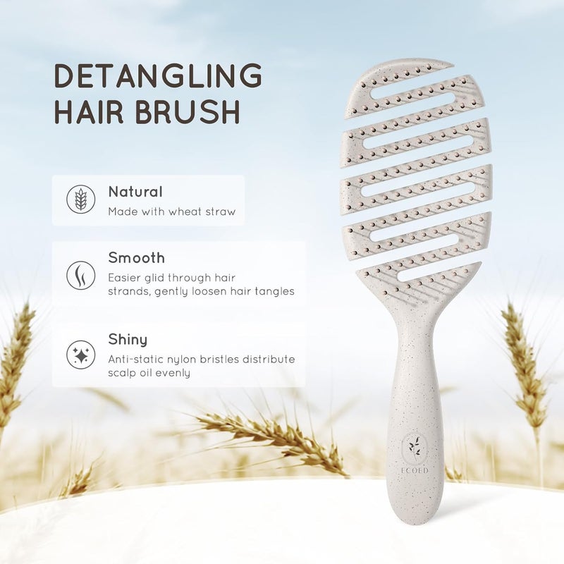 ecoed Detangler Hairbrush, Soft Bristle Detangling Brush for Straight, Wavy,Curly and Fine Hair, Dry and Wet, Quick Smoothing for Women and Men, Eco-Friendly & Sustainable Material (Natural) - Image 2